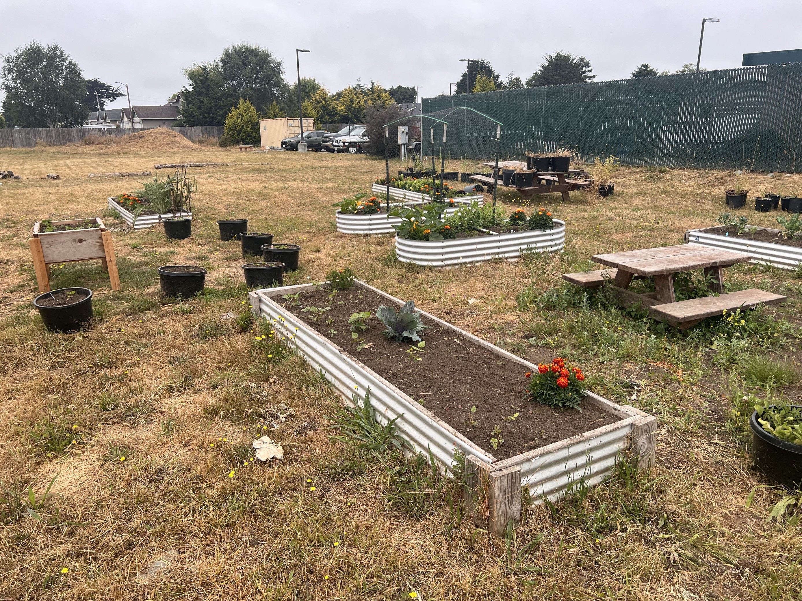 photo of raised garden beds outside